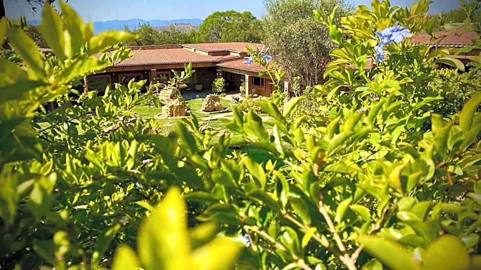 Hotel Boutique Matea Inn