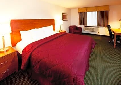 Quality Inn Denver Westminster