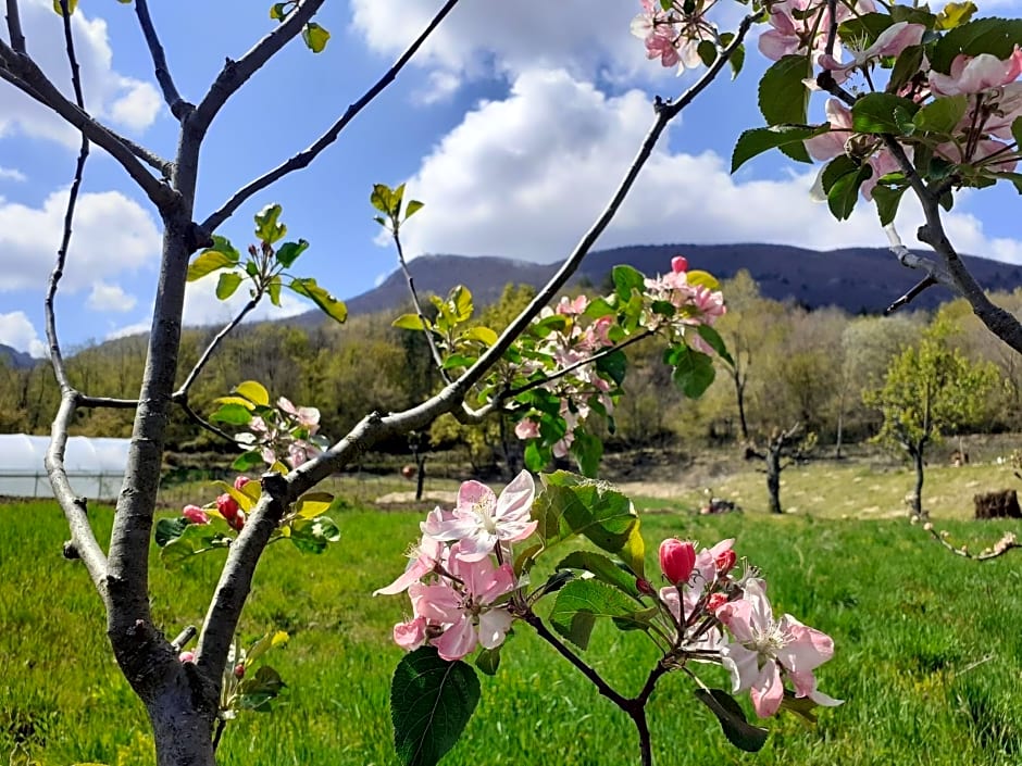 Cà Gennara Agri B&B