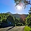 A view of Mount Warning