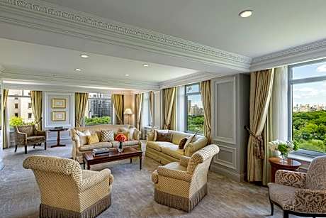 Ritz-Carlton Suite, Club lounge access, 1 Bedroom Signature Suite, 1 King, Sofa bed