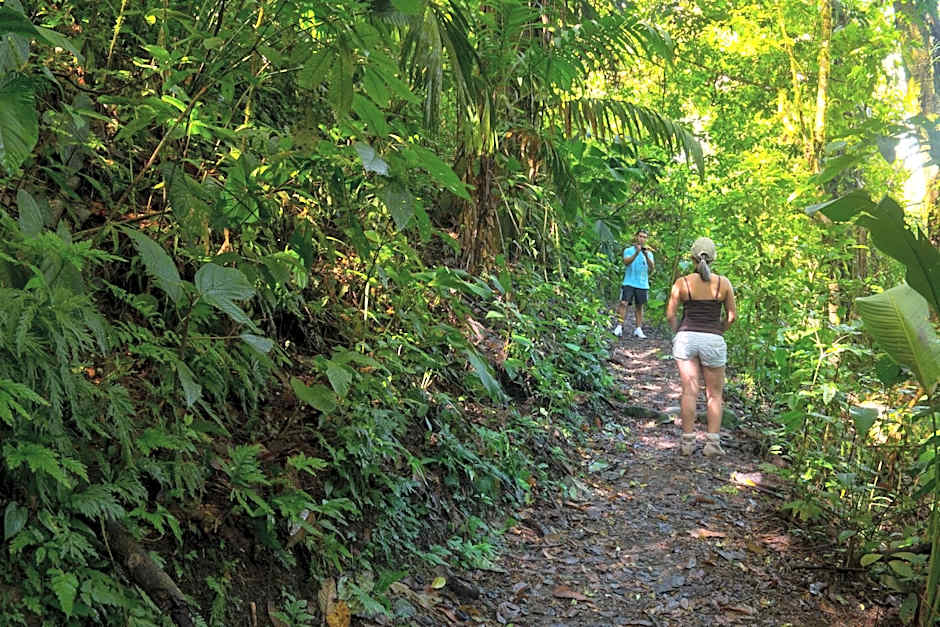 Casa Luna Hotel & Spa