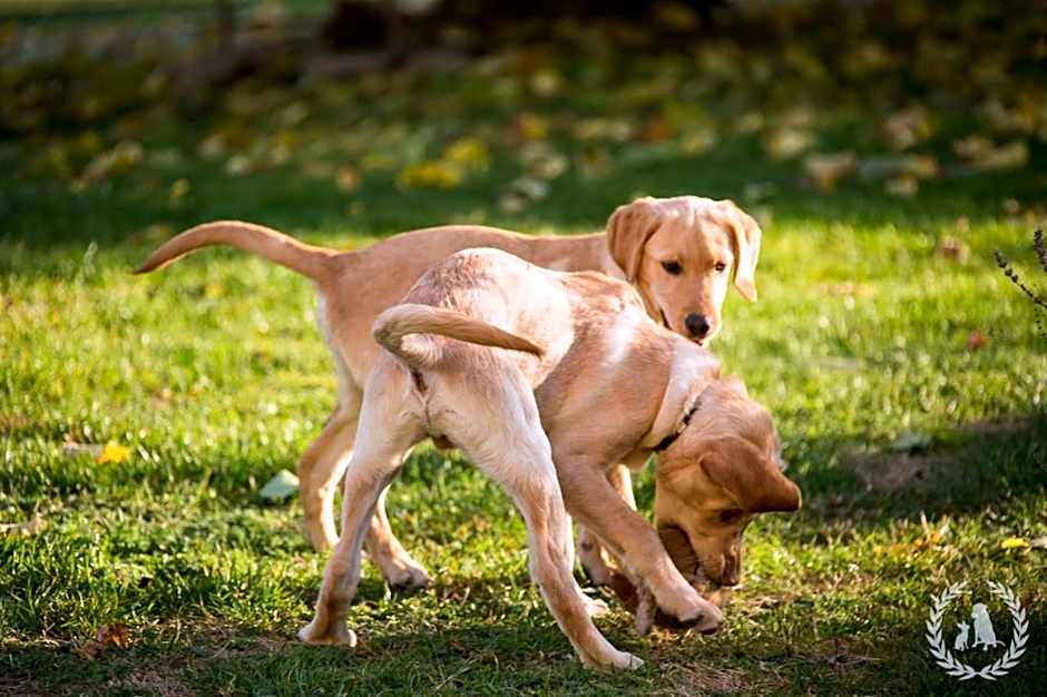 Landpension Pferdekoppel - B&B - Self Checkin