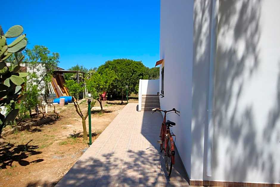 Tenuta Fontò