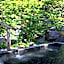 Hatcho no Yu Hot Spring Ryokan
