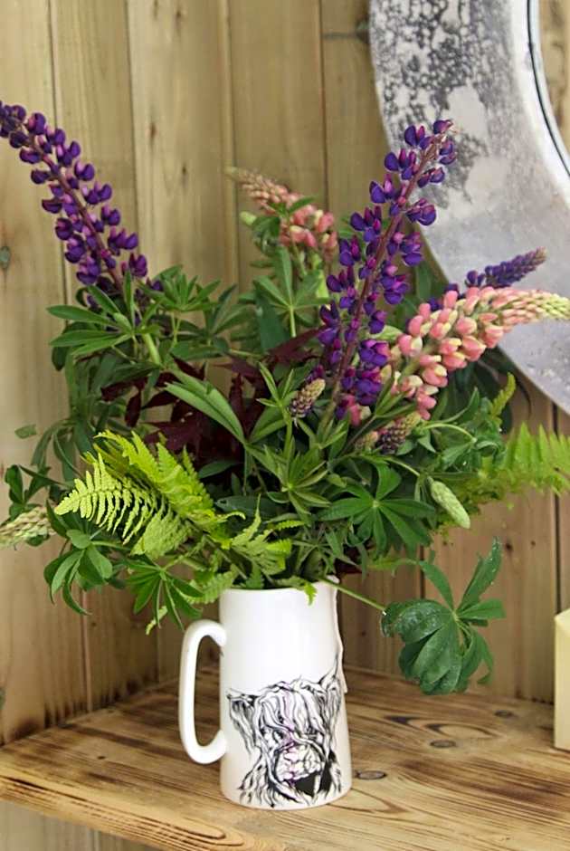 The Moo-tel at Moody Meadows