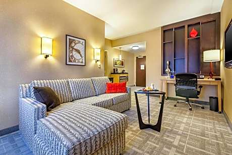 One-Bedroom King Suite - Non-Smoking