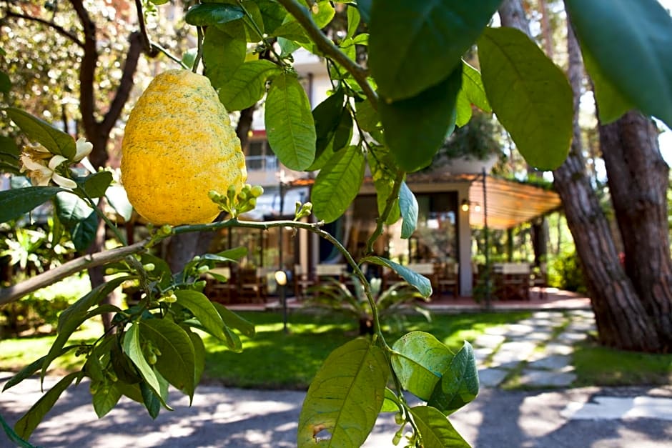 Hotel Andreaneri
