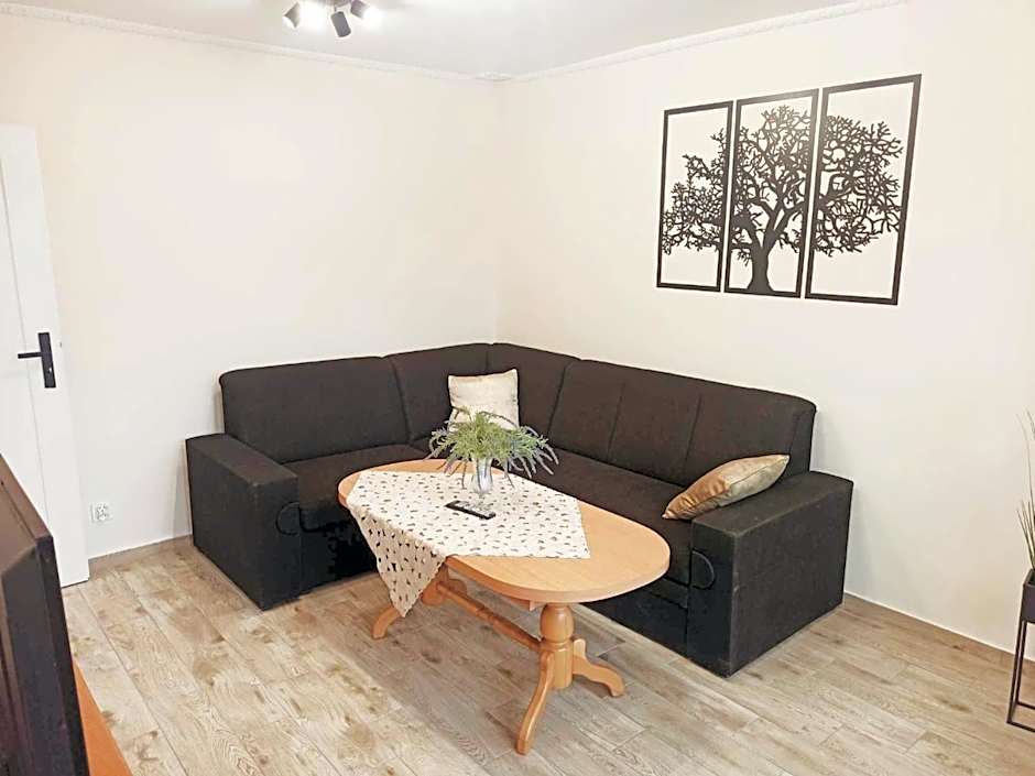 APARTAMENT CENTRUM Międzychód