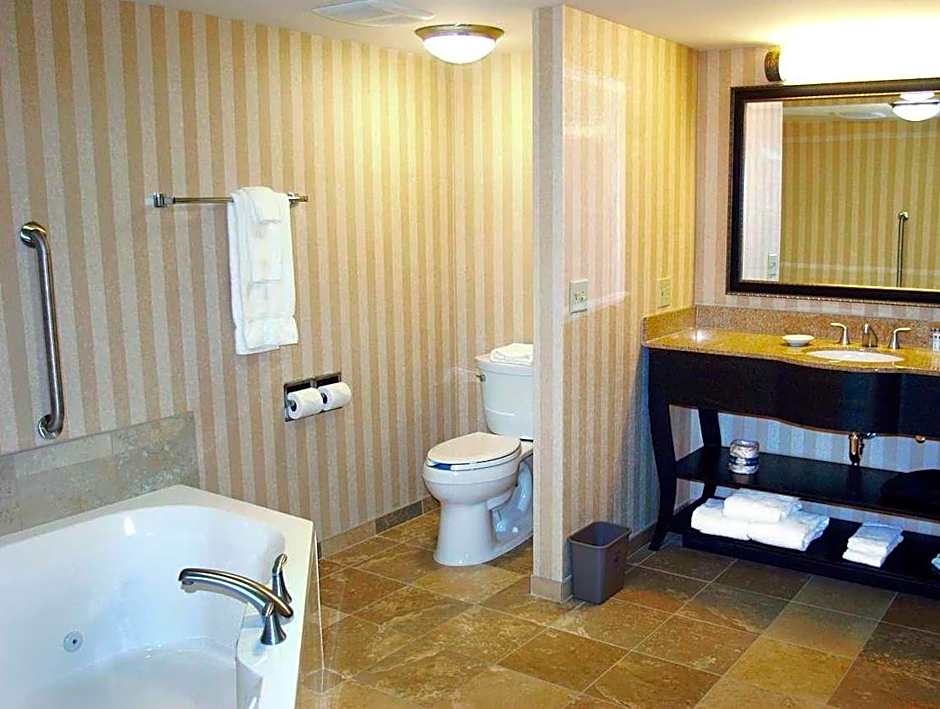 Hampton Inn By Hilton & Suites Albany-Downtown, NY