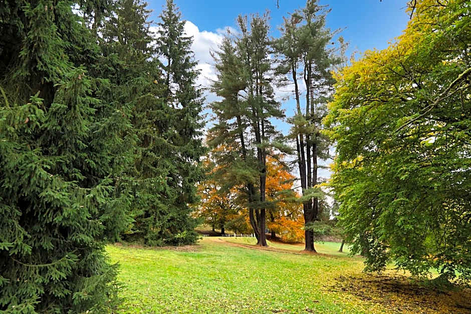 Hotel Château Cihelny