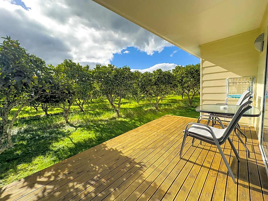 Relax a Lodge
