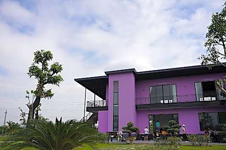 VIOLET VILLA