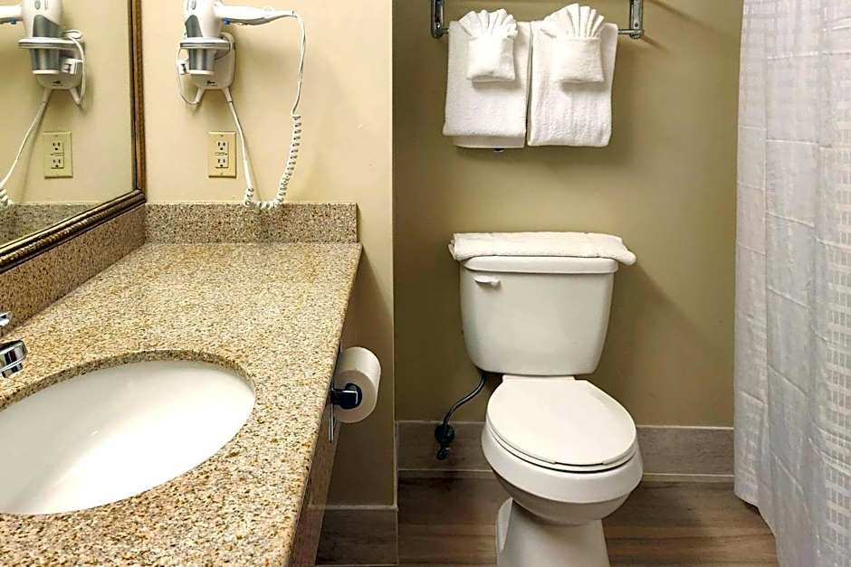 Comfort Inn & Suites Mount Pocono