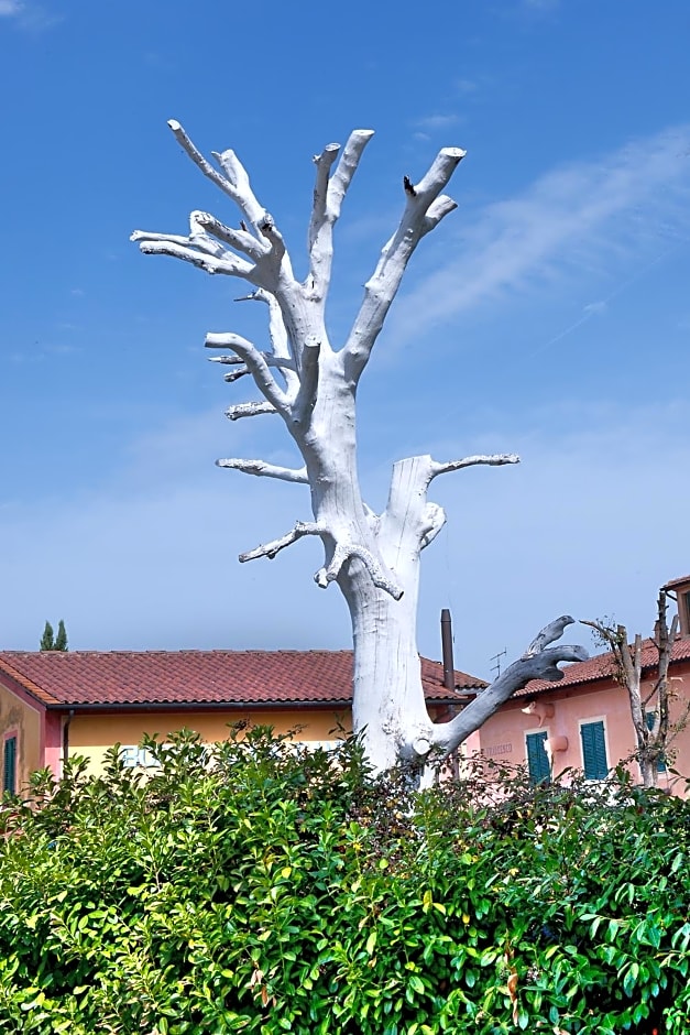 Fattoria Santa Lucia Borgo alla Cantina