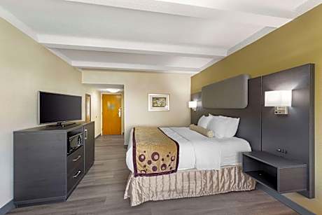 Accessible - 1 King, Mobility Accessible, Communication Assistance, Roll In Shower, Full Breakfast