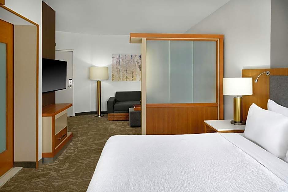SpringHill Suites by Marriott Detroit Metro Airport Romulus