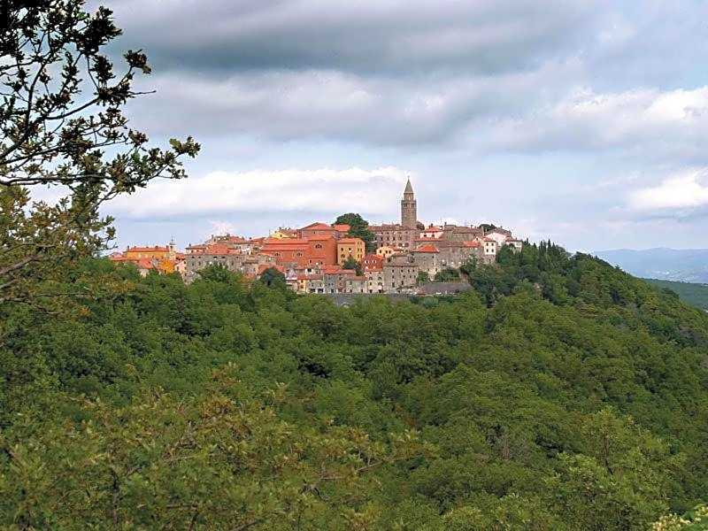 Mobile Homes Romantik