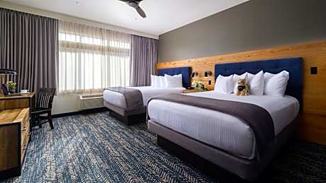 Two Queen Suite with Kitchen