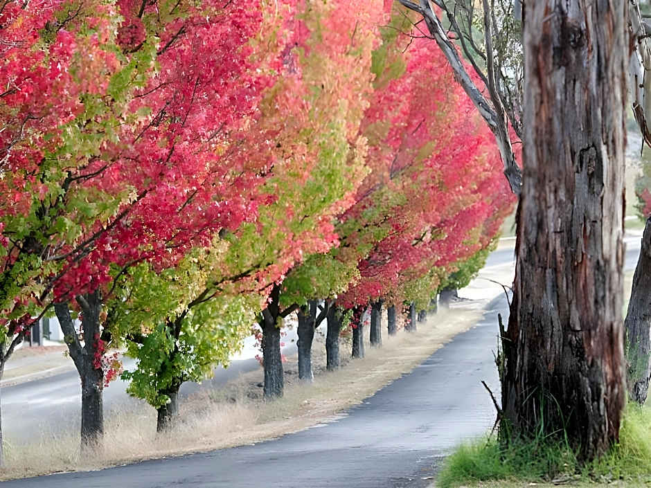 Moore Park Apartments