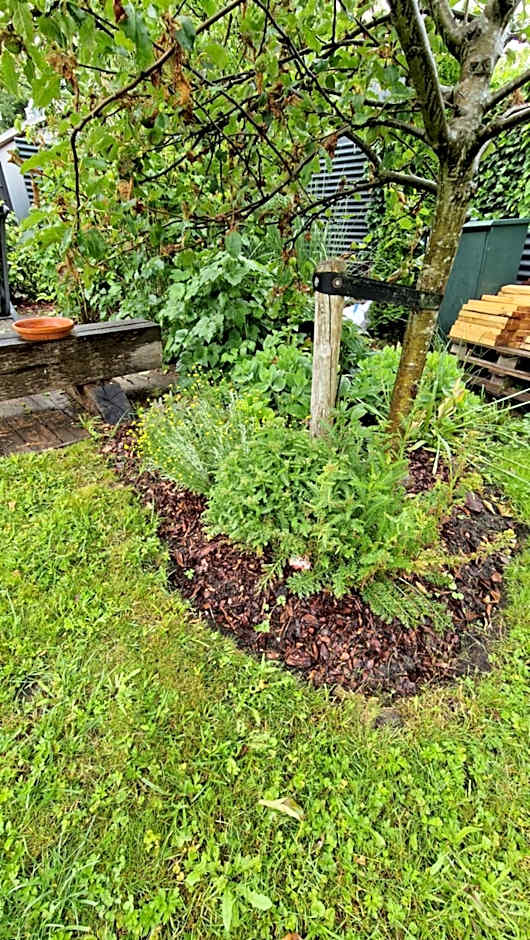 Bed & Breakfast Donna