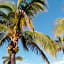 La Poza Boutique Hotel and Spa - Adults 15 plus