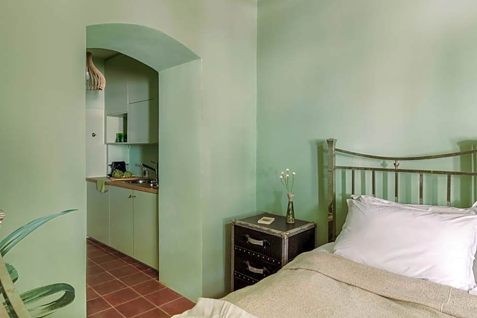 Cactus Hydra - Art Apartments