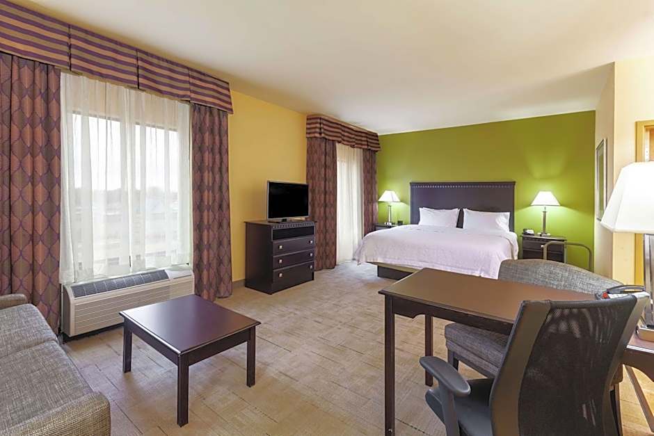 Photo 1 of 5 of Studio 1 King Bed with Sofabed Suite