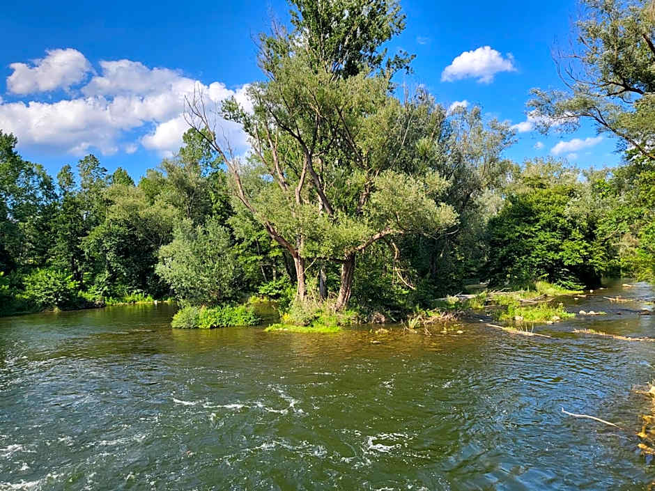 HOTEL PASTERAL RIU TER