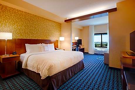 Suite, 1 King, Sofa bed