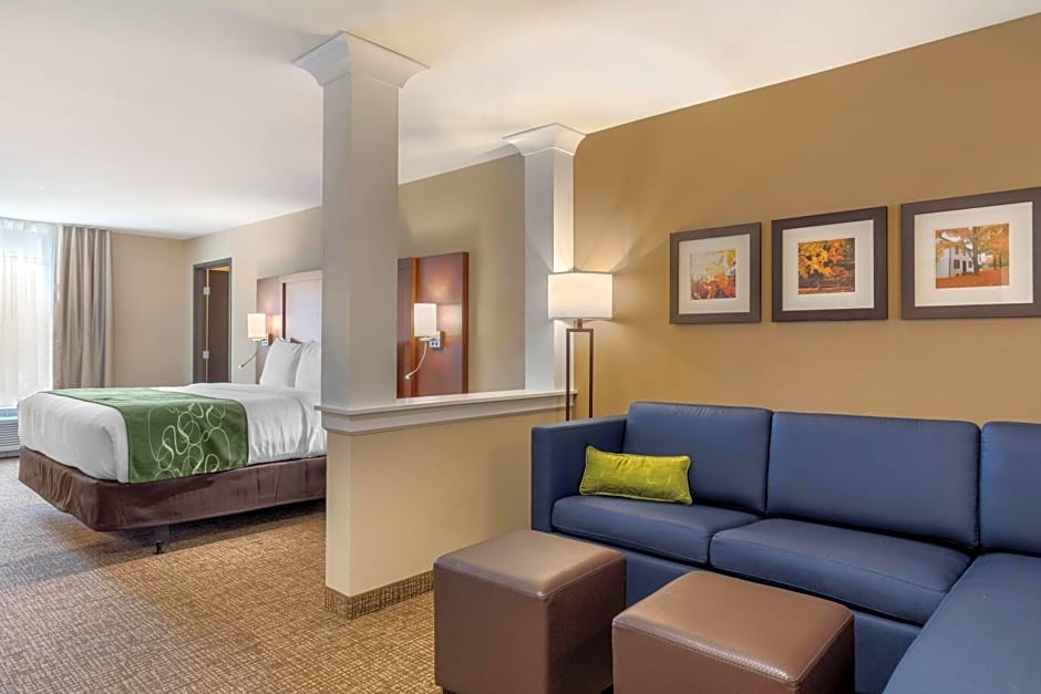 Comfort Inn & Suites Schenectady - Scotia