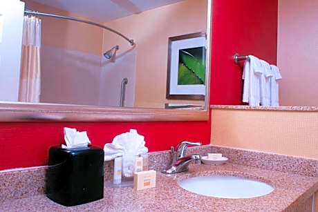 King Room with Bathtub - Mobility Access/Hearing Accessible