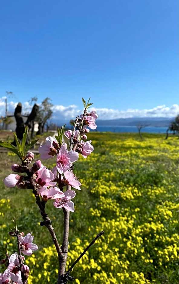 Casa Ruris - Country residence