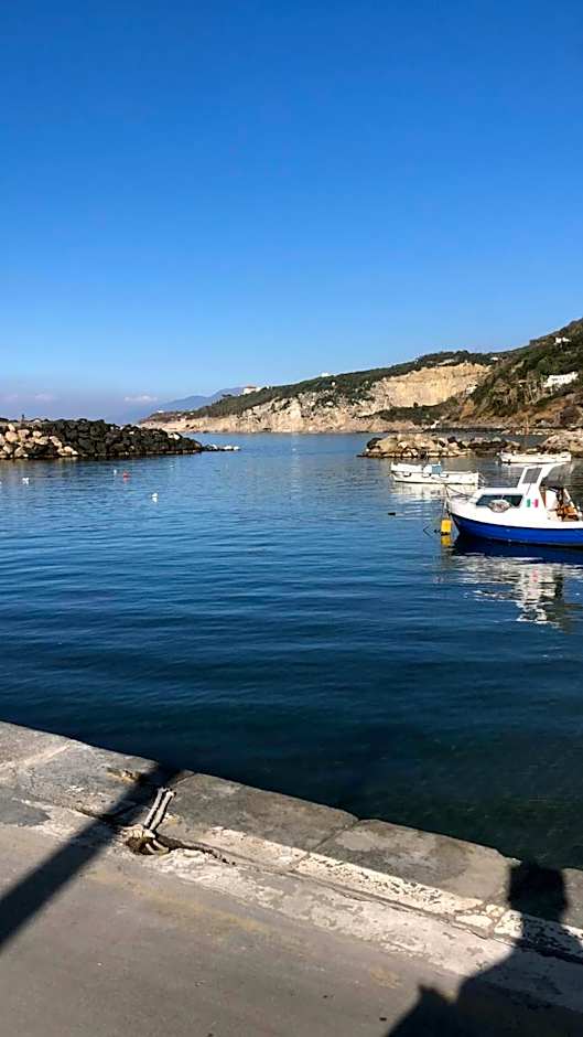 Oasi Madre della Pace