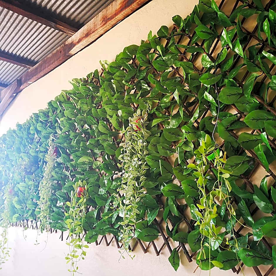 D​ Luck​ Hostel