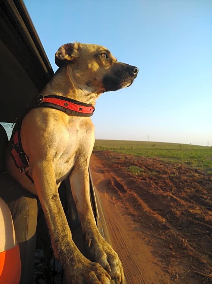 Café com Arte Pousada Ecológica