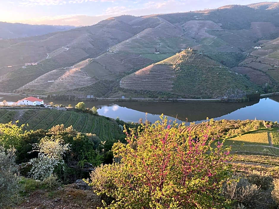 Placido Hotel Douro - Tabuaco