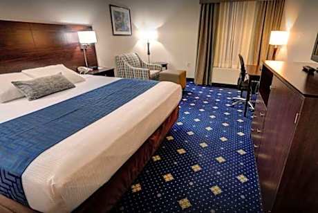1 King Bed Deluxe Suite Non-Smoking