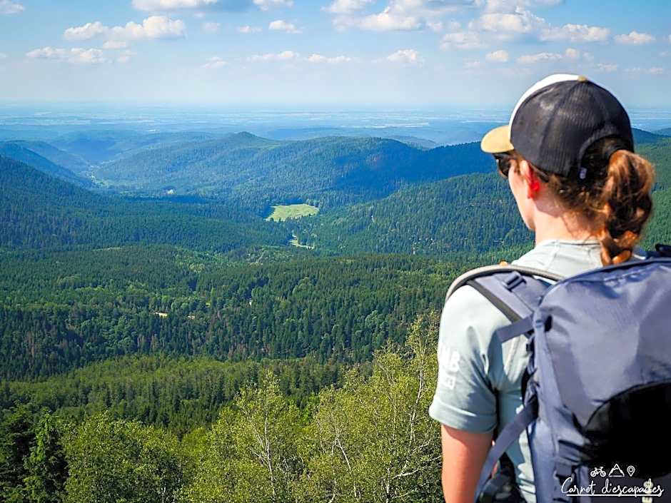 Logis Hotel des Lacs