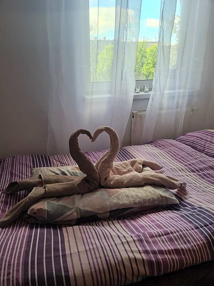 Sweet Home & Sweet Cats & Fast internet