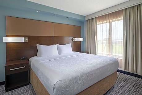 Suite, 1 Bedroom (1 King Bed and 1 Double Sofa Bed)