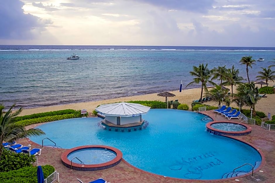 Morritt's Tortuga Club