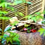 Kyo Machiya Ryokan Yuan