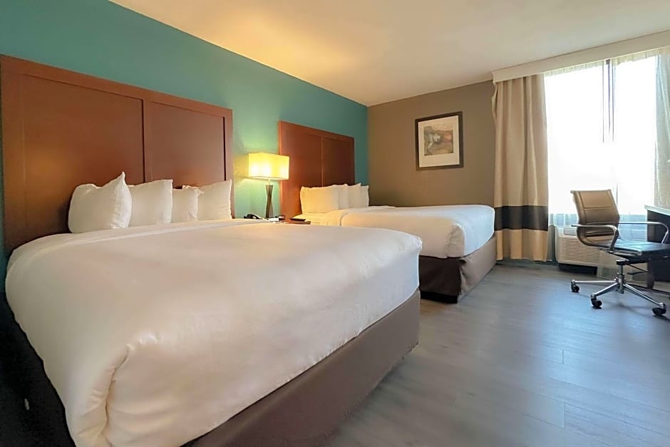 Comfort Inn & Suites Kissimmee By the Parks