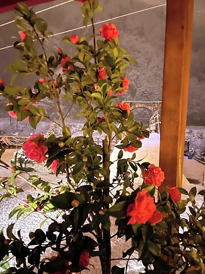 Nani Boutique Hotel & Bungalow