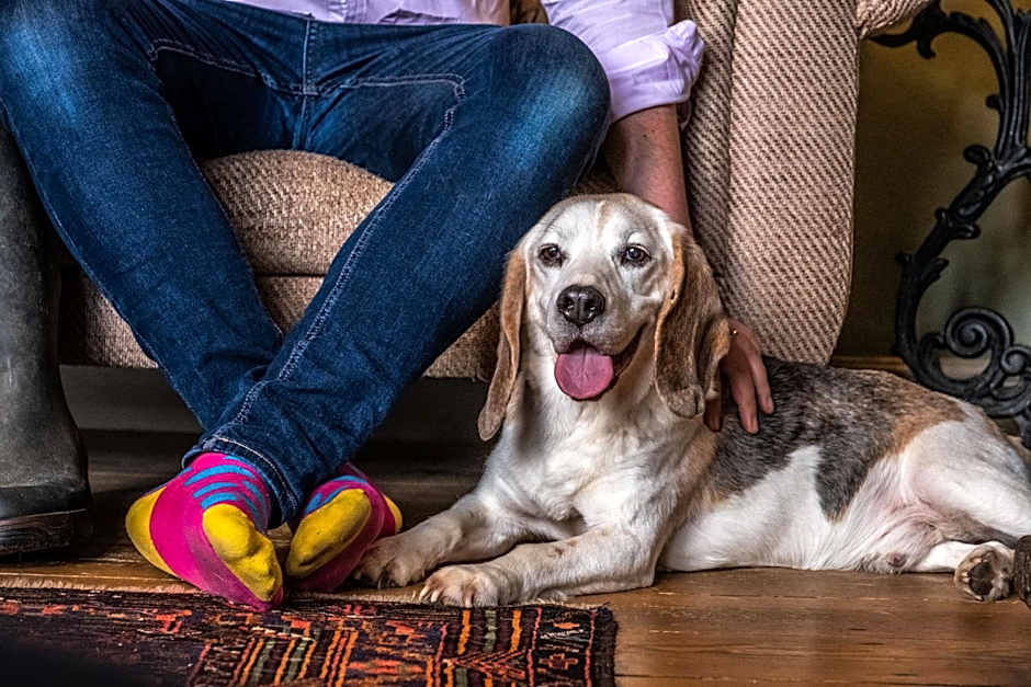 The Black Lion, Long Melford