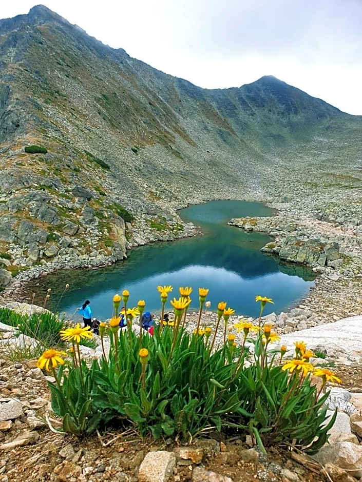 Evelina Palace Hotel