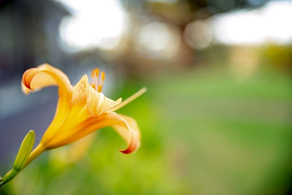 Cascade Garden Apartments