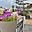 Fiore di Loto Rooms