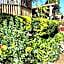 Bridgefield Guest House